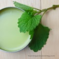 Lemon Balm Extract: A Home Remedy for Mouth Herpes