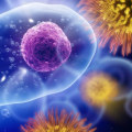 Understanding Immune System Deficiencies