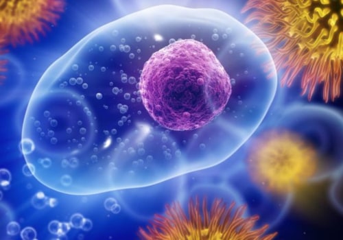 Understanding Immune System Deficiencies