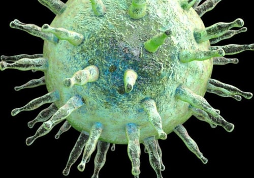 Epstein-Barr Virus: Causes, Symptoms, Diagnosis and Treatment